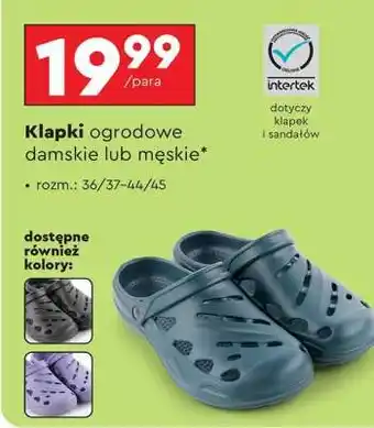 Biedronka Klapki ogrodowe damskie lub męskie oferta