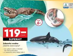 Biedronka Zabawka wodna zdalnie sterowana oferta