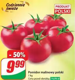 Dino Pomidor malinowy polski oferta