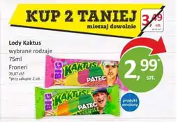 Passa Lody Kaktus Froneri oferta