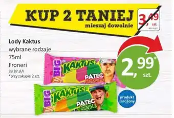 Passa Lody Kaktus Froneri oferta