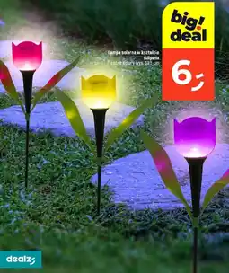 Dealz Lampa solarna w kształcie oferta