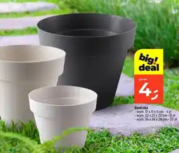 Dealz Doniczka oferta