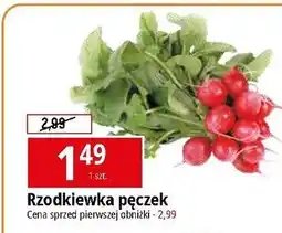 E.Leclerc Rzodkiewka oferta