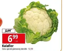 E.Leclerc Kalafior oferta
