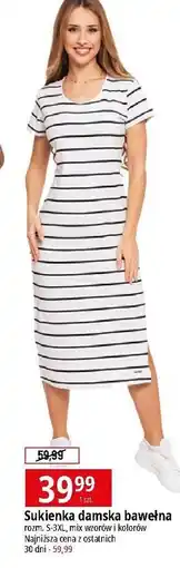 E.Leclerc Sukienka damska rozm. s-3xl oferta