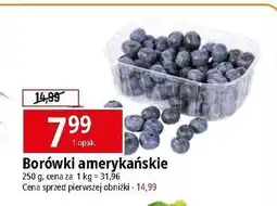 E.Leclerc Borówki amerykańskie oferta