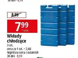 E.Leclerc Wkłady chłodzące do lodówek turystycznych oferta