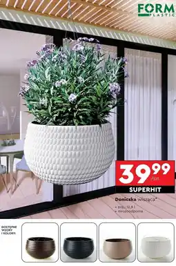 Biedronka Doniczka wisząca oferta