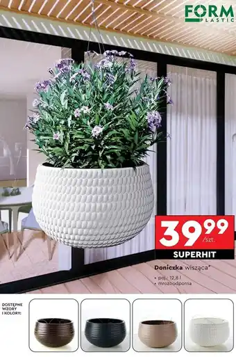 Biedronka Doniczka wisząca oferta