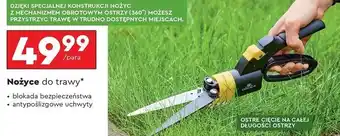 Biedronka Nożyce do trawy oferta