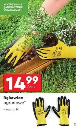 Biedronka Rękawice ogrodowe oferta