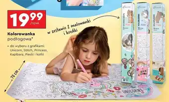 Biedronka Kolorowanka podłogowa 100 x 70 cm kapibara Beniamin oferta