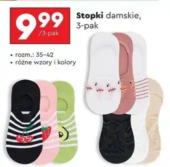 Biedronka Stopki damskie 35-42 oferta