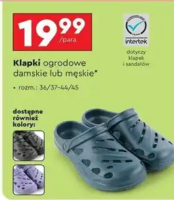 Biedronka Klapki ogrodowe męskie oferta