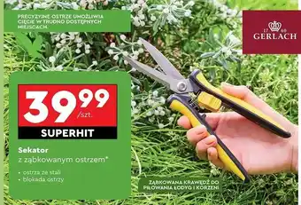 Biedronka Sekator ogrodowy ząbkowaty Gerlach oferta
