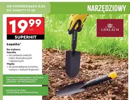 Biedronka Łopatka wąska Gerlach oferta