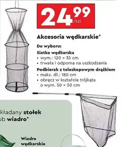 Biedronka Podbierak teleskopowy 180 cm Paladin oferta