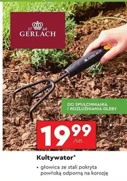Biedronka Kultywator Gerlach oferta