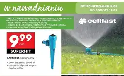 Biedronka Zraszacz statyczny Cellfast oferta