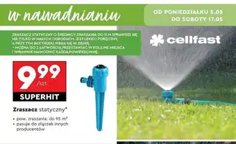 Biedronka Zraszacz statyczny Cellfast oferta