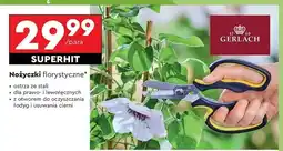 Biedronka Nożyczki florystyczne Gerlach oferta