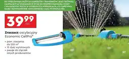 Biedronka Zraszacz oscylacyjny economic Cellfast oferta