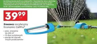 Biedronka Zraszacz oscylacyjny economic Cellfast oferta