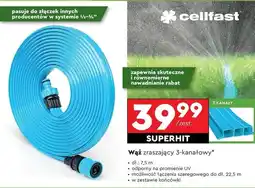 Biedronka Wąż zraszający 7.5 m Cellfast oferta