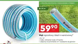 Biedronka Wąż ogrodowy 1/2 20 m Cellfast oferta