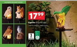 Biedronka Figurka solarna 1 x led oferta