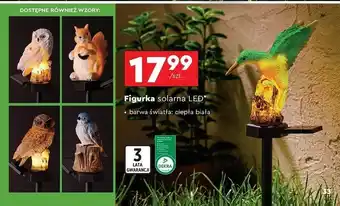 Biedronka Figurka solarna 1 x led oferta
