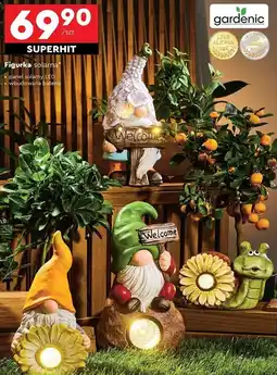Biedronka Figurka krasnal solarna Gardenic oferta