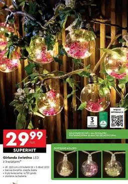 Biedronka Girlanda 8 led z kwiatami oferta
