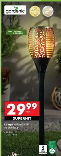 Biedronka Lampa solarna pochodnia flame wys. 78 cm Gardenic Yard oferta