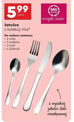 Biedronka Łyżeczka vita Mg Home oferta