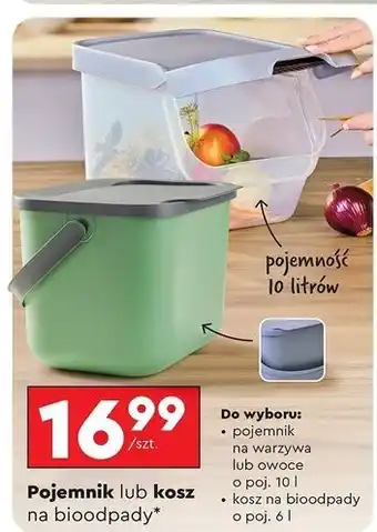Biedronka Kosz na bioodpady 6 l Smukee oferta
