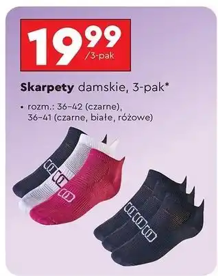 Biedronka Skarpetki damskie 36/38-39/41 Hootomi oferta