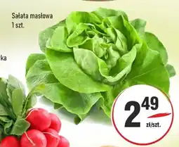 Sedal Sałata masłowa oferta
