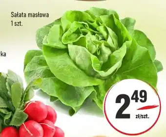 Sedal Sałata masłowa oferta