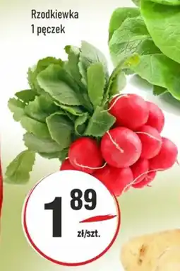 Sedal Rzodkiewka oferta