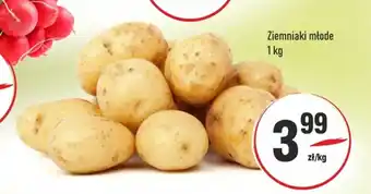 Sedal Ziemniaki młode oferta