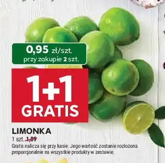 Stokrotka Limonka oferta