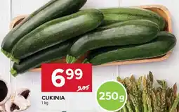 Stokrotka Cukinia oferta