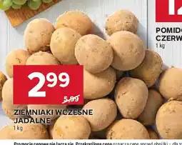 Stokrotka Ziemniaki wczesne oferta