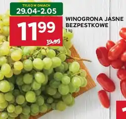 Stokrotka Winogrona jasne oferta