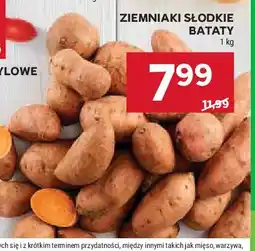 Stokrotka Bataty oferta