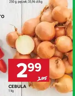 Stokrotka Cebula oferta