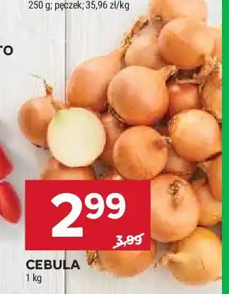 Stokrotka Cebula oferta