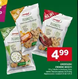 Stokrotka Orzeszki śmietanka z cebulką Mogyi oferta